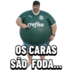 Minhas figurinhas 24