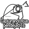 Flork Pa Responder📝📌  2