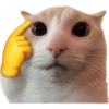Meme Kucing Imut #4 8