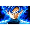 Black Goku 23
