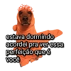 estava dormindo acordei pra ver essa perfeição que é você