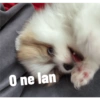 O ne lan