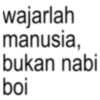 wajarlah manusia, bukan nabi boi
