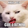 Meme TikTok  16