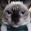 Reações. | @ocenferios  Haki. 6