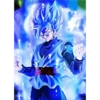Black Goku 21