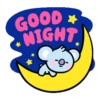 Good night cat 💤 5
