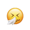 Emoji iPhone  12