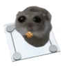 Cricetino Sad Hamster pt.2 26