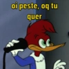 Pica pau memes  10