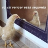 SURTOS LEVES & MEMES {😂} 7