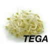 Plesetan logo 5