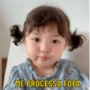 Coreana mandrak 12