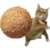 Meme Kucing Lempar 😾 13