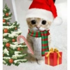 Cat christmas special 8