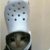 Meme stiker kucing 🐱 12