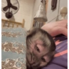 Kisses and slaps  11