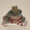 Frog 28