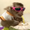 Monos🐒  20