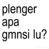 plenger apa gmnsi lu? delvanycilukba17