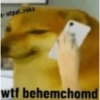 -utpal.rokz wtf behemchomd