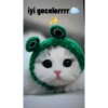 Iyi geceler 💛 26