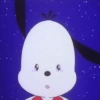 Pochacco 🐾 13