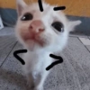 🤬💢 Mood Enojado 💢🤬 6