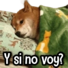 MIX de Memes #1⓿ 🎉💯 5