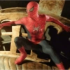 Peter maguire 13
