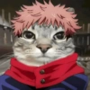 Jujutsu kaisen  9