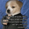 Lo checamos el lunes, Milic. Los domingos tengo una cita con la insoportable levedad del ser y mi crisis existencial