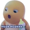 Hoak Hoakkk