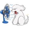 Perrito de Facebook🐶💙  30