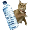 Meme Kucing Lempar 😾 7