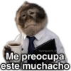 💯😝 •ANIMALITOS Frases• 😝💯 10
