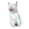 Gatos y algo mas 15