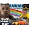 🌴🐒Monkey Crazy🐒🌴 🔥金Montana金🔥 27