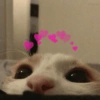 Lol 18
