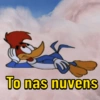 Pica pau memes  9