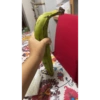 Cosas raras  8