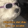 P Objetivo del día: Que se acabe