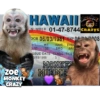 🌴🐒Monkey Crazy🐒🌴 🔥金Montana金🔥 7