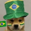 🇧🇷⚽️ BRASIL ⚽️🇧🇷 25