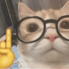 Gatinhos + emojis 😻 11