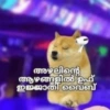 കടക്ക് പുറത്ത് 🚶‍♂️ 13