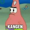PATRICK 15