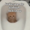 Türkçe meme #1 16