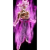 Black Goku 12