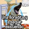 Stickers Pa Contestar1®️  17